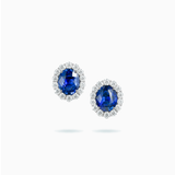 18K White Gold Sapphire Diamond Earrings