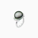 18K White Black South Sea Pearl Diamond Ring