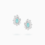 PT950 Platinum & 18K White Gold Paraiba Diamond Earrings