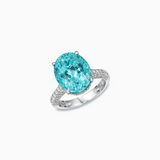 18K White Gold Paraiba & Diamond Ring