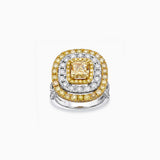 18K White & Yellow Gold Diamond Ring