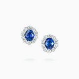 18K White Gold Sapphire Diamond Earrings