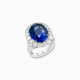 18K White Gold Sapphire & Diamond Ring