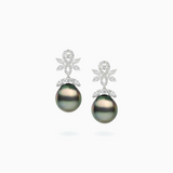 18K White Gold Black South Sea Pearl Earrings