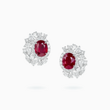 PT950 Platinum Ruby Diamond Earrings